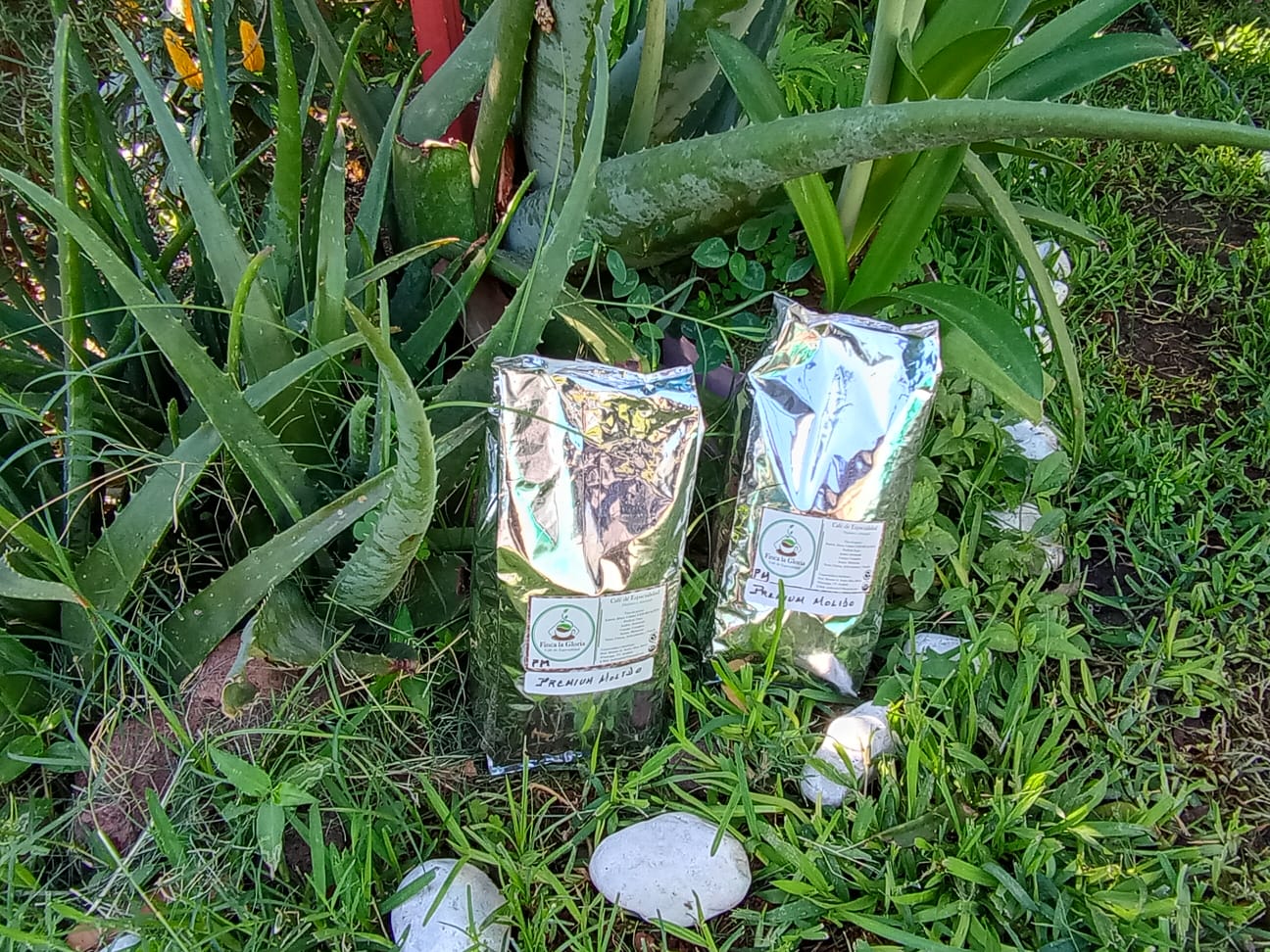 Café en jardín